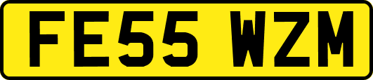 FE55WZM
