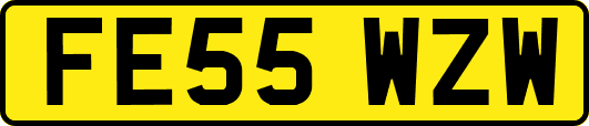 FE55WZW