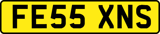 FE55XNS