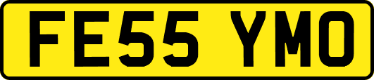 FE55YMO