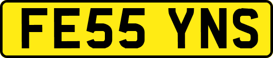 FE55YNS