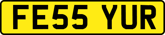 FE55YUR