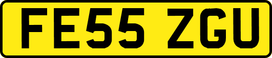 FE55ZGU