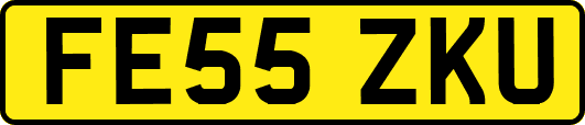 FE55ZKU