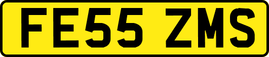 FE55ZMS