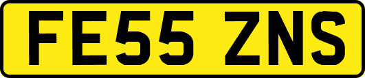 FE55ZNS