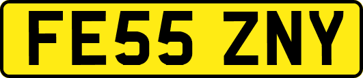 FE55ZNY