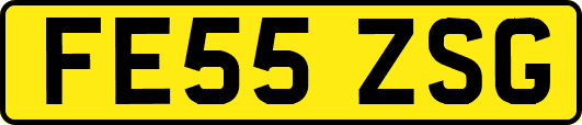 FE55ZSG