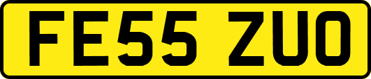 FE55ZUO