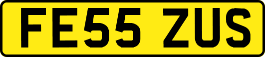 FE55ZUS