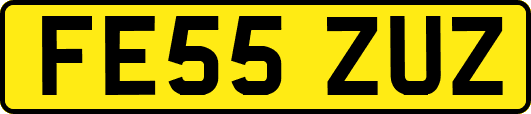 FE55ZUZ