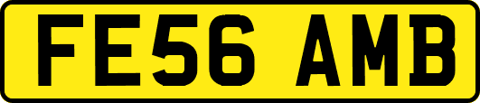 FE56AMB