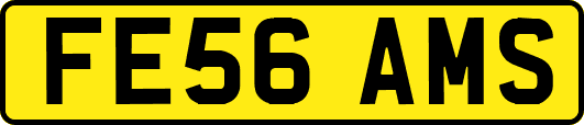FE56AMS