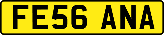 FE56ANA