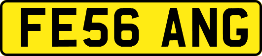 FE56ANG