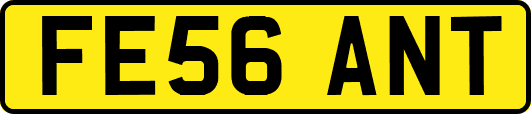 FE56ANT
