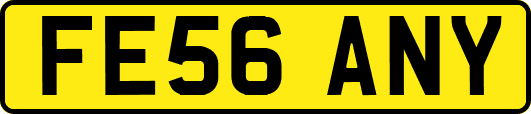 FE56ANY