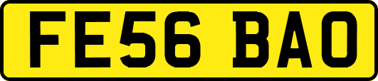 FE56BAO