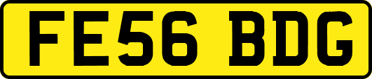 FE56BDG