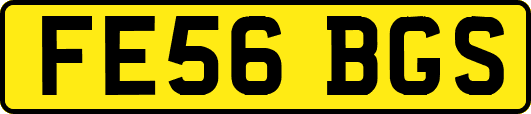 FE56BGS