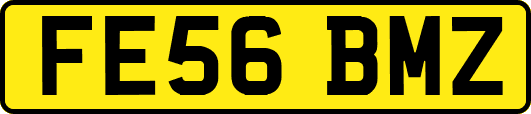 FE56BMZ