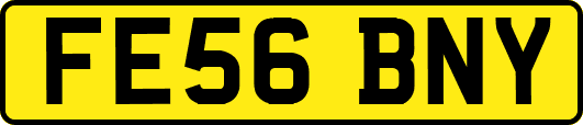 FE56BNY