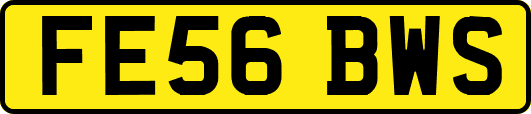 FE56BWS