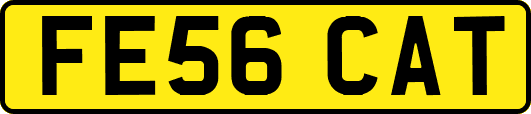 FE56CAT