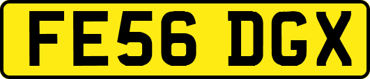 FE56DGX