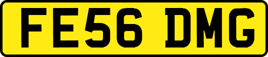 FE56DMG