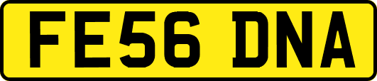FE56DNA