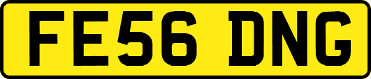 FE56DNG