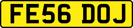 FE56DOJ