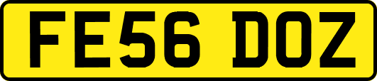 FE56DOZ