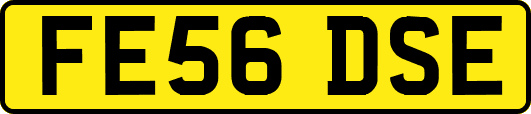 FE56DSE