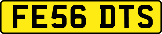 FE56DTS
