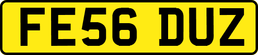 FE56DUZ