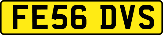 FE56DVS
