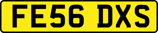 FE56DXS