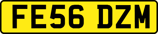 FE56DZM