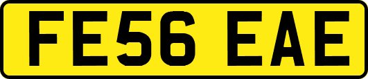 FE56EAE