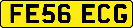 FE56ECG