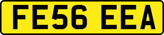 FE56EEA