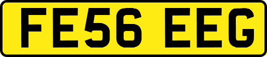 FE56EEG