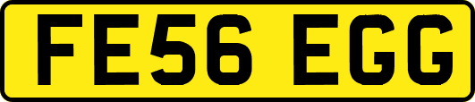 FE56EGG