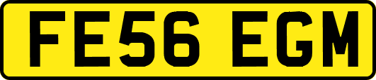FE56EGM