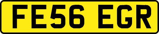 FE56EGR