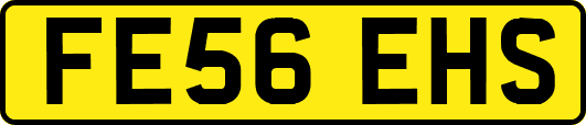 FE56EHS