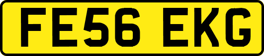 FE56EKG
