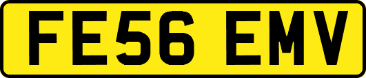 FE56EMV